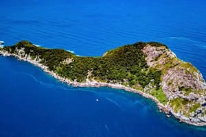 Un youtuber ingresó a una de las islas más peligrosas del mundo, repleta de cobras
