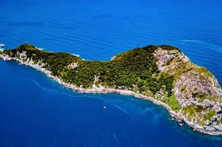 Un youtuber ingresó a una de las islas más peligrosas del mundo, repleta de cobras