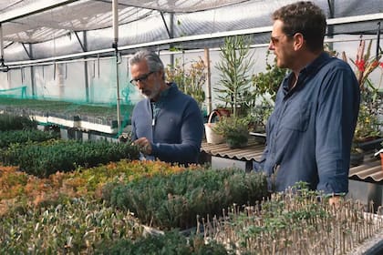 La jardinería apareció como una nueva profesión, pero también como otra forma de habitar el tiempo