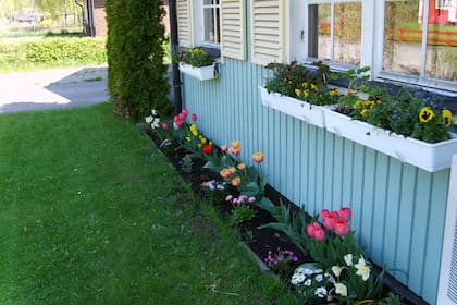 "La jardinería es una de las ocupaciones básicas de cada sueco y de cada sueca. Venir a Suecia en primavera y en verano es hermoso. Yo creo que esa capacidad de decorar con plantas y flores el país de arriba a abajo no se encuentra en otras partes del mundo".