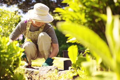 La jardinería puede colaborar tanto con la salud física como mental
