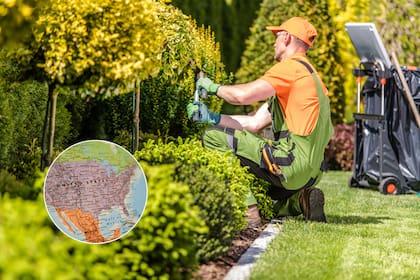 La jardinería y el mantenimiento concentran la mayoría de visas emitidas para salvadoreños, con más de 7000 permisos otorgados.