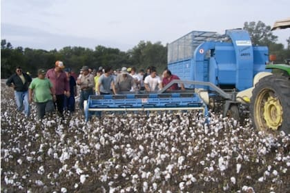 La Javiyú representó más del 50% del parque de cosechadoras