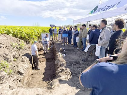 Alquila 73.000 hectáreas: una empresa familiar desarrolló un impactante modelo de producción - Image 2