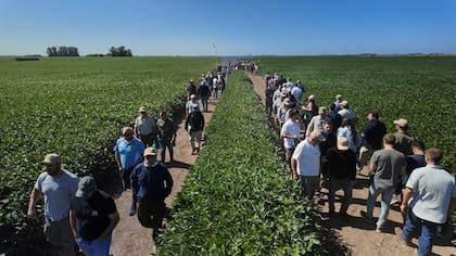 La jornada se hizo en Chacabuco