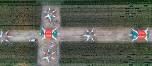 Llega una jornada con todo lo que hay que saber del cultivo