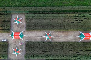 Llega una jornada con todo lo que hay que saber del cultivo