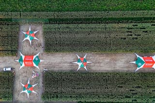 Llega una jornada con todo lo que hay que saber del cultivo