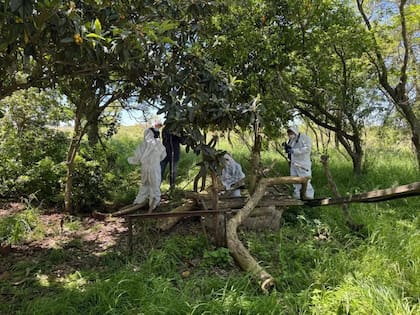 La joven desapareció el viernes 3 de octubre tras salir de su casa en su vehículo