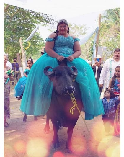 La joven ingresó a su fiesta arriba de un búfalo (Foto: Facebook: Jaripeo Pura Sierra Mixe)