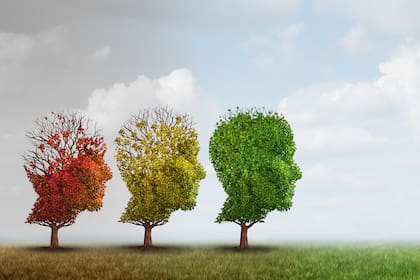 La jubilación puede provocar grandes cambios en la salud cerebral