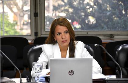 La jueza Agustina Díaz Cordero no tiene dudas: "Las imperfecciones del sistema no las puede pagar un niño inocente"