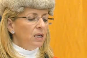 La jueza Ellenbogen que condenó a al agresor