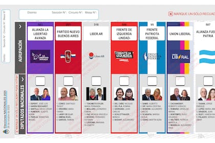 La Justicia Electoral deberá definir si se reimprimen las boletas y quién afrontará el costo millonario de la operación tras la renuncia de José Luis Espert