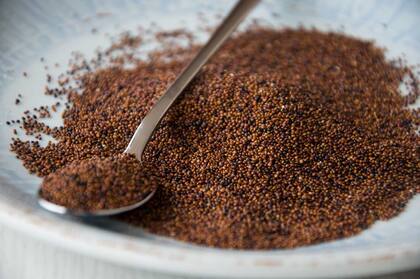 La kañiwa no necesita ser enjuagada antes de cocinarse