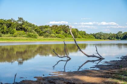La laguna La Tapada: el paisaje chaqueño en su esplendor.