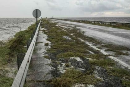 La laguna llegó a cubrir más de 40.000 hectáreas