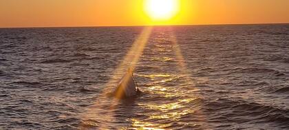 La lancha comenzó a hundirse por popa y en posición casi vertical, a unos 60 kilómetros de la costa