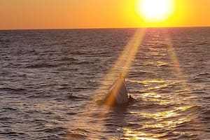 La lancha se hundió a unos 60 kilómetros de la costa