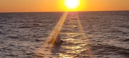 La lancha se hundió a unos 60 kilómetros de la costa