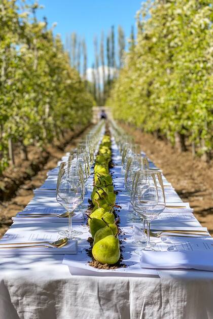 La larga mesa preparada para la ocasión donde se ve una infinita línea de peras sobre tierra local, sello del cocinero haciendo un guiño a su Proyecto Tierras.
