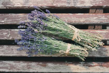 La lavanda es una de las hierbas naturales más usadas