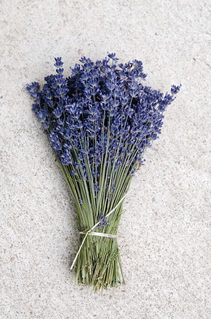La lavanda es una de las plantas aromáticas más asociadas a la calma y a los rituales nocturnos