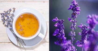 La lavanda tiene efectos calmantes y analgésicos.
