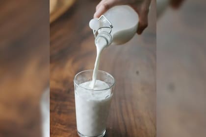 La leche es una de las bebidas más consumidas (Foto Pexels)