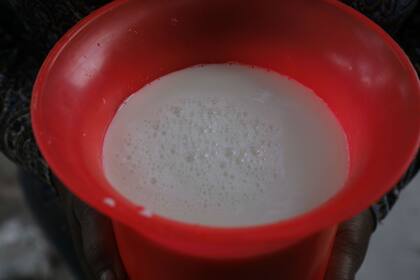 La leche recién ordeñada de Pedro