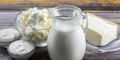 La leche y sus derivados, como el queso, es un aliado para la salud