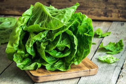 La lechuga es una verdura ampliamente recomendada. Se trata de un alimento económico y muy común en las comidas que por lo general