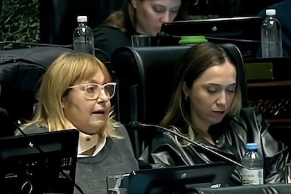 La legisladora Graciela Ocaña, ayer, al hacer pública la denuncia
