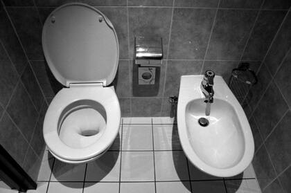 La colocación de los bidets no será obligatoria en viviendas ni en comercios; su instalación correrá a criterio de la empresa constructora