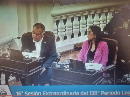 La Legislatura riojana debatió en la mañana del miércoles el proyecto de Quintela.