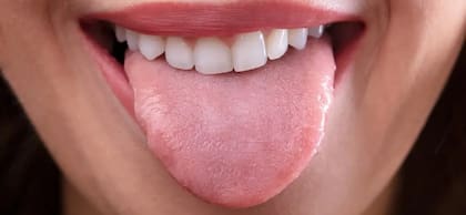 La lengua cumple con un sinfín de funciones