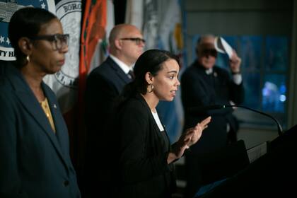 La ley conocida como Intro 429, que impone nuevos requisitos para la instalación de electrodomésticos de gas, fue propuesta por la Concejal Pierina Sánchez