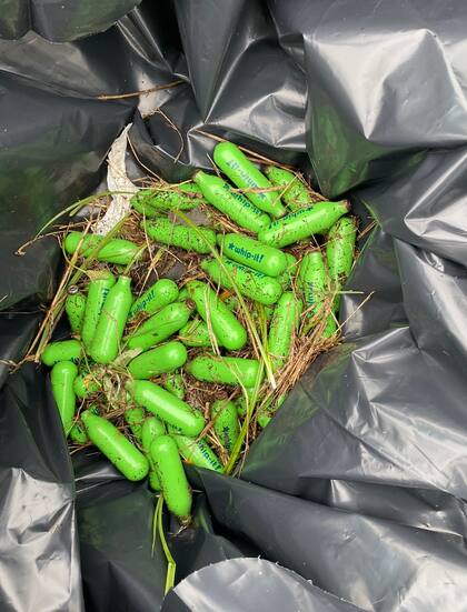 La ley contra los cargadores que contienen óxido nitroso fue aprobada en octubre del año pasado, pero no implica la prohibición de latas de crema batida