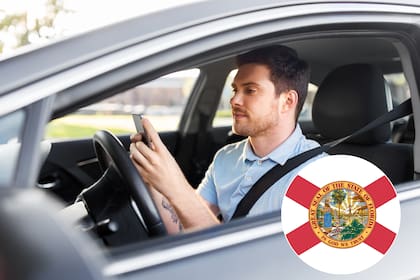 La ley crea el artículo 316.88 del Código de Florida, que prohíbe vender citas para trámites en el Departamento de Vehículos Motorizados; la infracción será un delito menor de primer grado