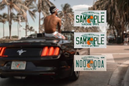 La ley de Florida considera ilegal el uso de marcos o cubiertas para placas que tapen cualquier parte de los números, la calcomanía o el nombre del estado