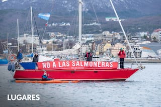 Tierra del Fuego debate modificar una ley para permitir la cría de salmones en el mar argentino