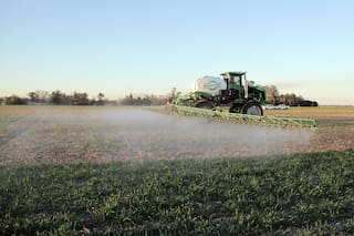 Mercado de campos: contrastes con el mundo que no atraen a los inversores