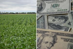 Los inversores extranjeros vuelven a preguntar para comprar campos en el país