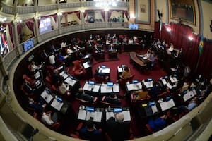 Una mujer denunció que era empleada del Senado bonaerense sin saberlo y cobraron cinco años de sueldo en su nombre