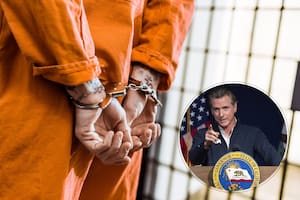 La ley establece penas de prisión para ciertos ladrones