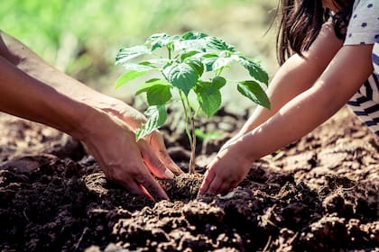 Hoy es el Día Mundial de la Educación Ambiental