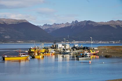 La Ley N° 19.640 define a Tierra del Fuego como área franca, con la excepción de la Isla Grande de Tierra del Fuego, que opera como área aduanera especial