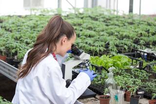 Cuáles son los beneficios que prevé la ley de biotecnología