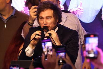 La Libertad Avanza se impuso en los comicios legislativos con el 40,68% de los votos