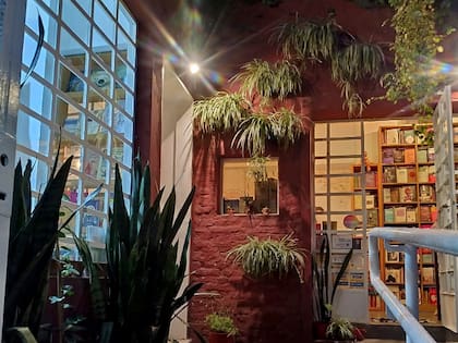 La librería está rodeada de plantas.